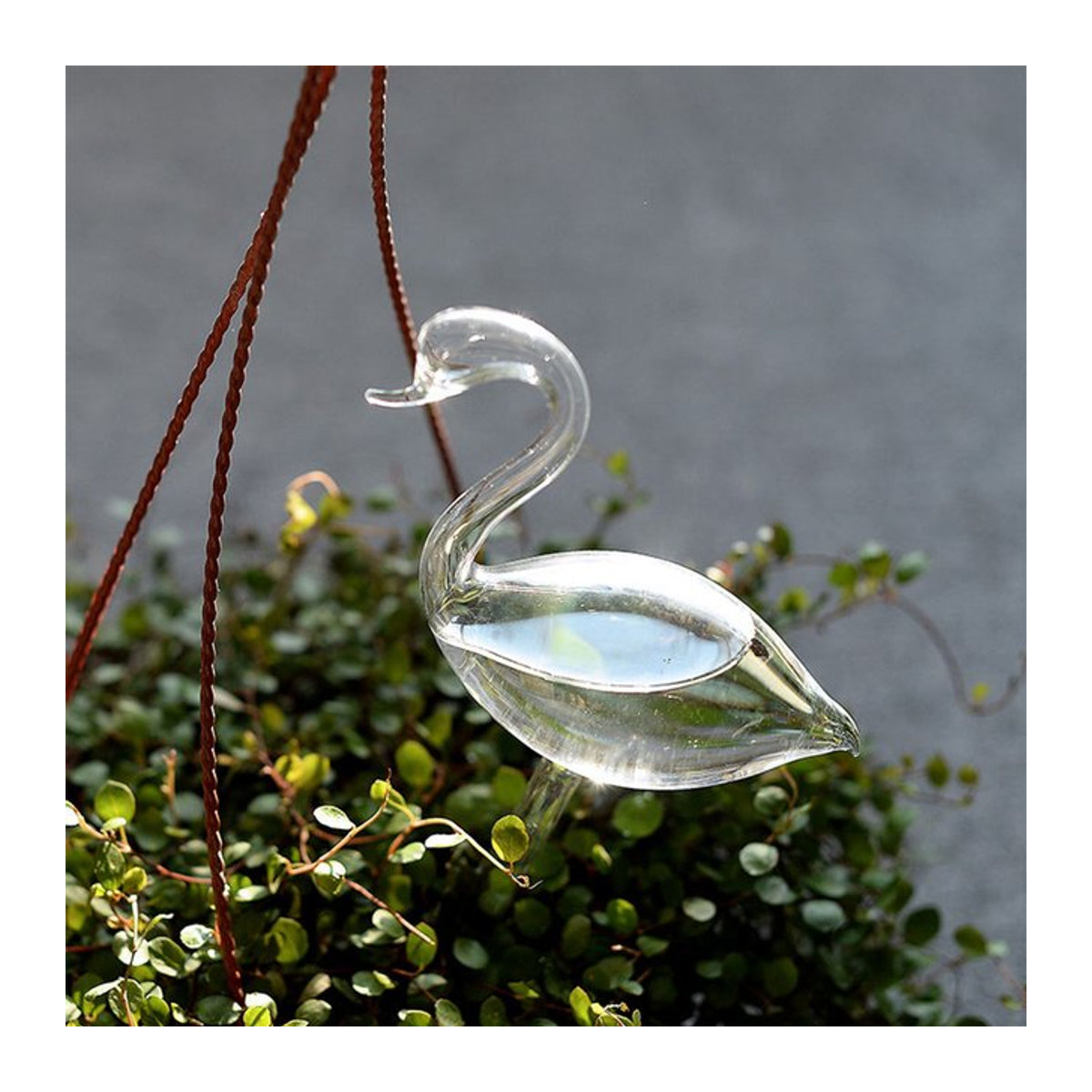 Transparentes Schwanenbewässerungsgerät aus Glas für deine Zimmerpflanzen - Bild 1