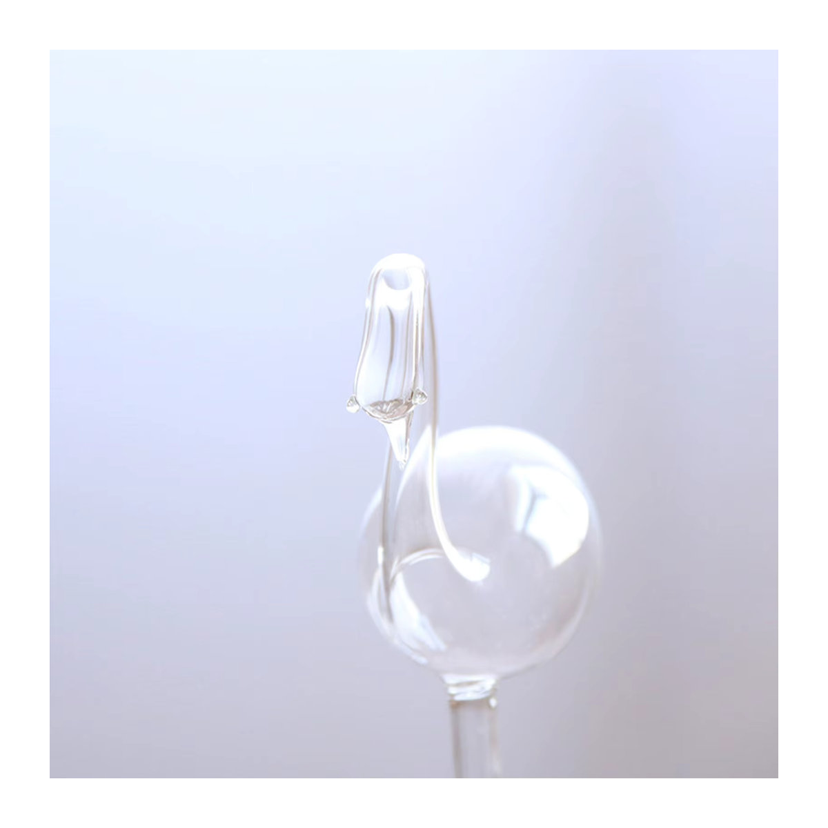 Transparentes Schwanenbewässerungsgerät aus Glas für deine Zimmerpflanzen - Bild 3