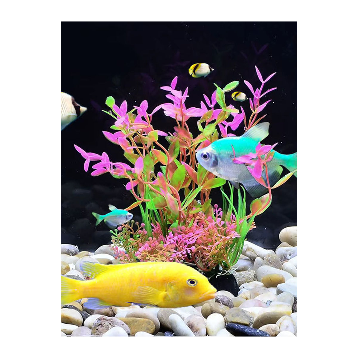 TUNFAN Set aus 12 Arten künstlicher Aquarium Pflanzen aus Kunststoff, mehrfarbig, Höhe: 14 cm - Bild 2