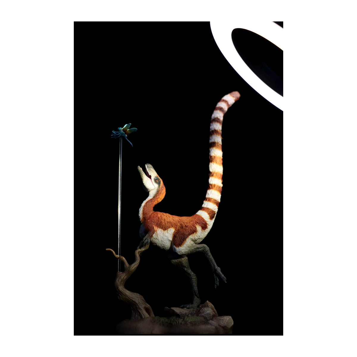 UUNYSAUR Sinosauropteryx Dinosaurier Figur Mehrfarbig gestreift als Schreibtisch Dekoration - Bild 3
