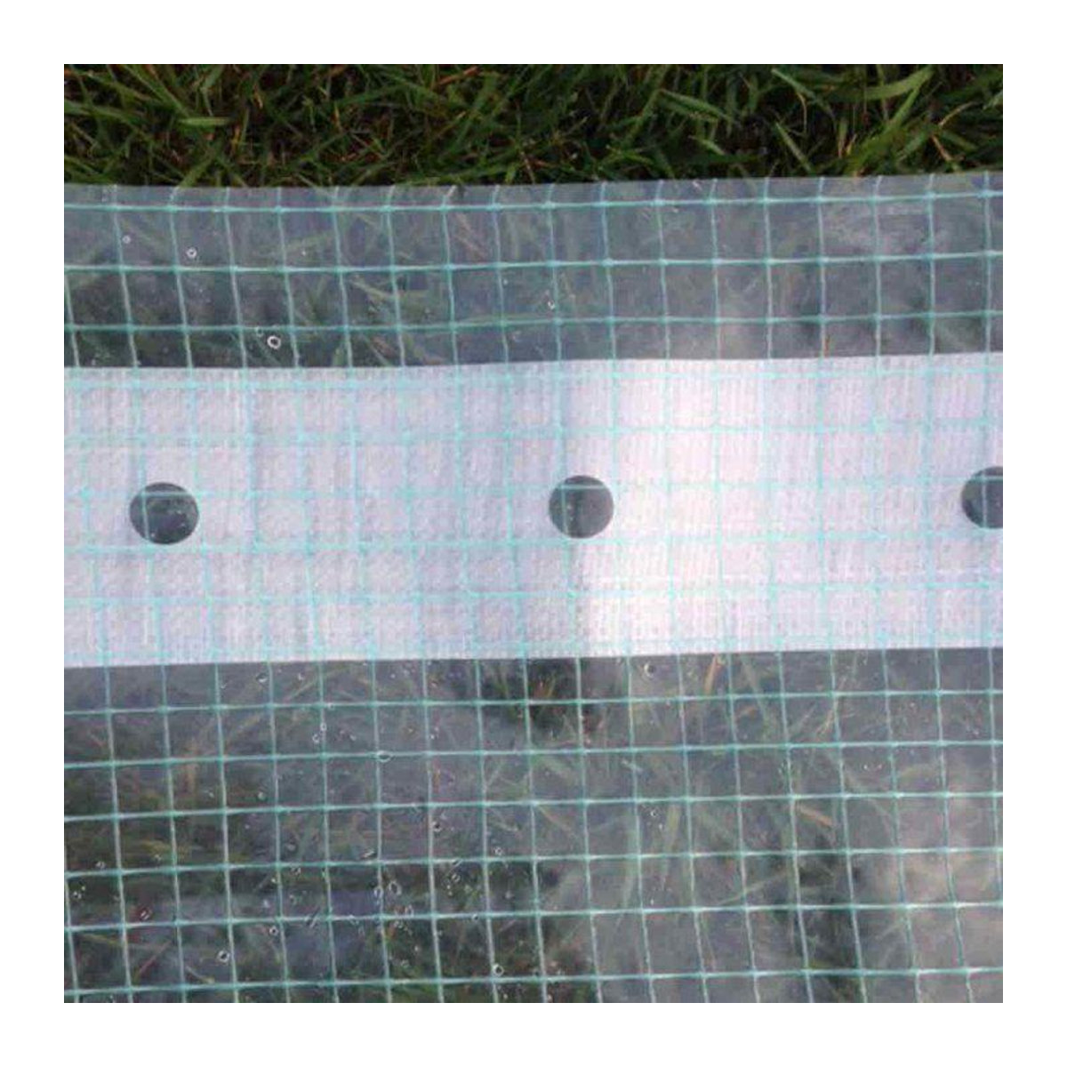 Verstärkte Gewächshausfolie von tireusesabiere in Grün, UV-beständig für Garten und Bau, B x H: 3 x 5 m - Bild 2