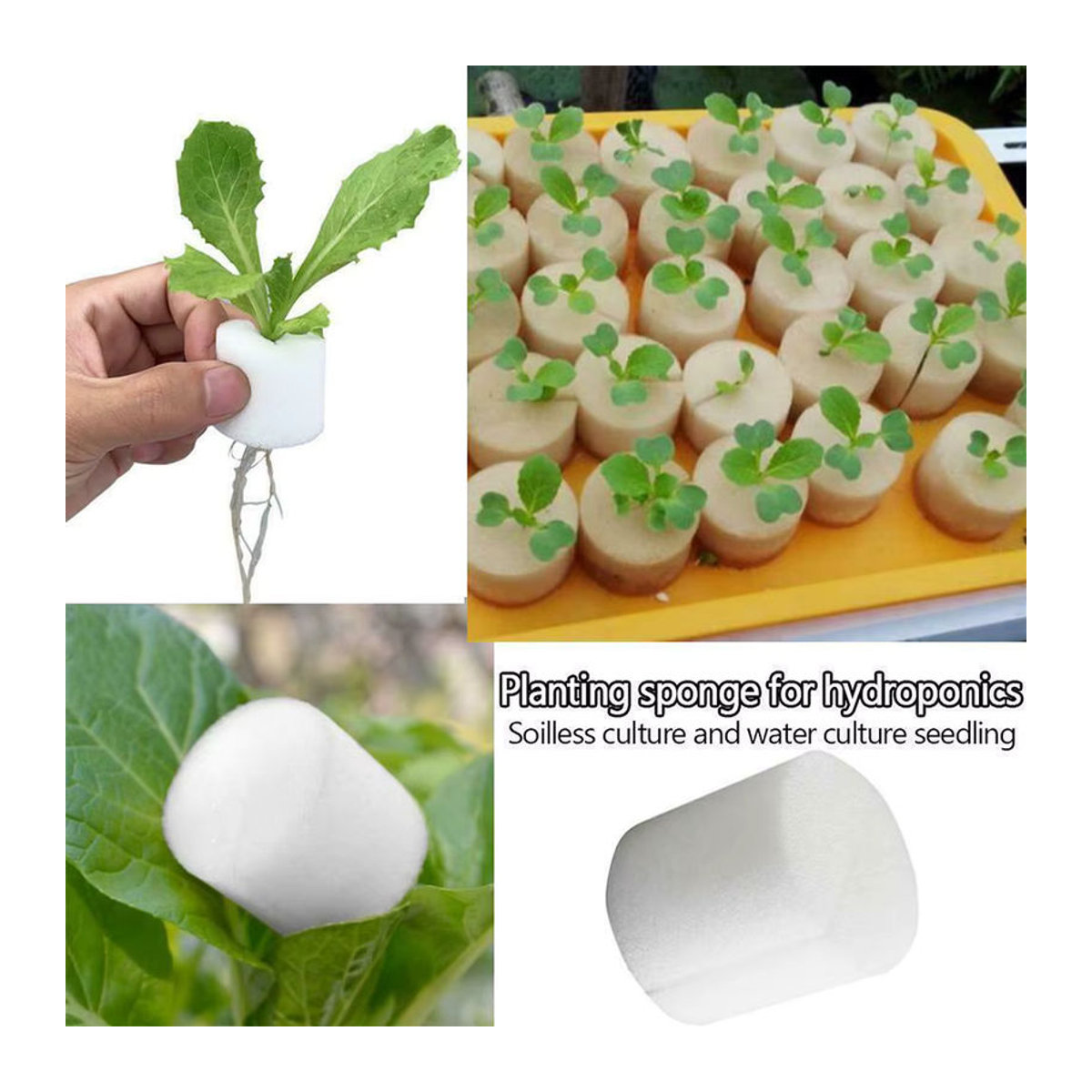 Vibratite Hydroponik Netztöpfe 50 Stück für soilless Kultur, Schlitzgitter-Körbe für Orchideen und Anzucht, B/D/H: 3,5 x 3,5 x 3,5 cm - Bild 2