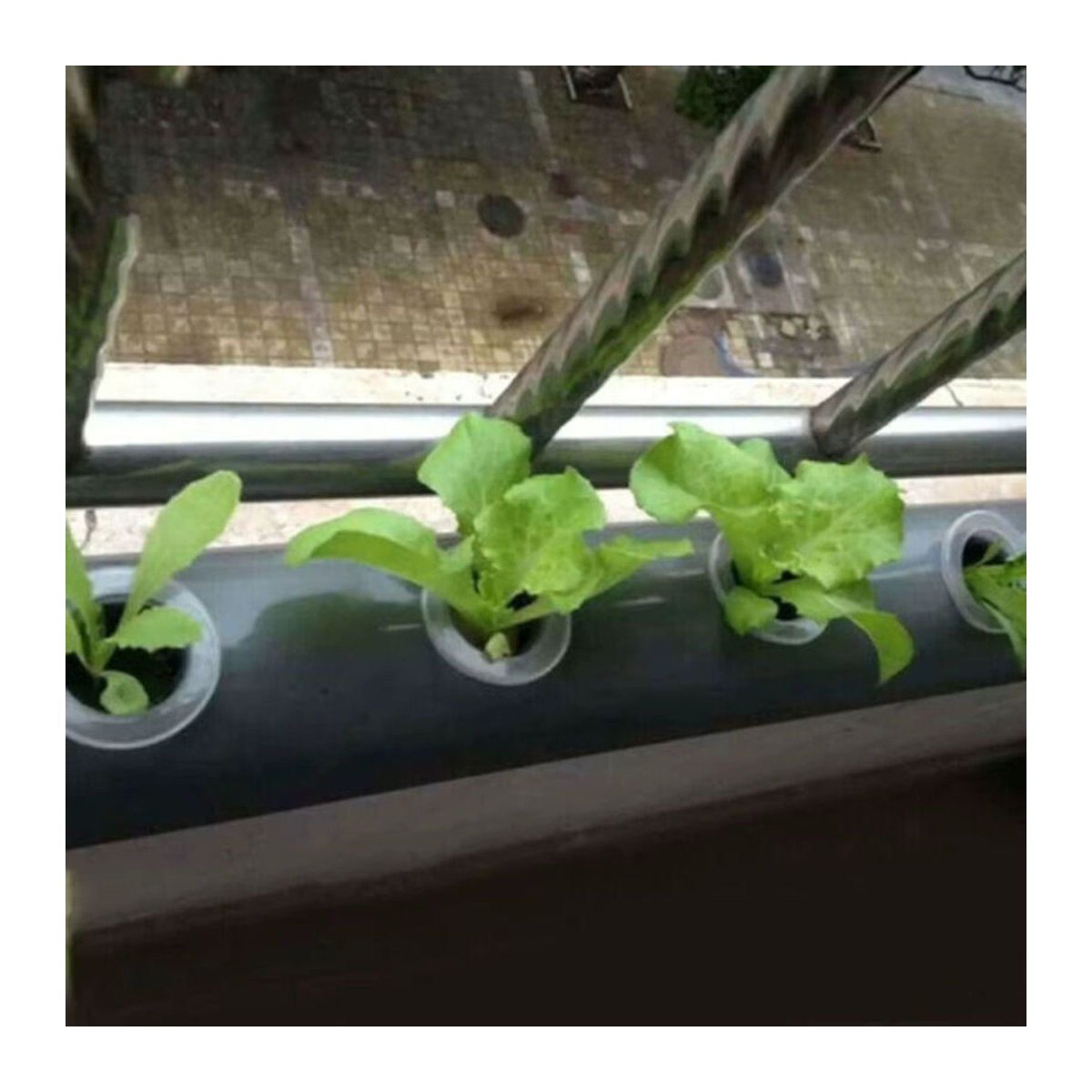Vibratite Hydroponik Netztöpfe 50 Stück für soilless Kultur, Schlitzgitter-Körbe für Orchideen und Anzucht, B/D/H: 3,5 x 3,5 x 3,5 cm - Bild 3
