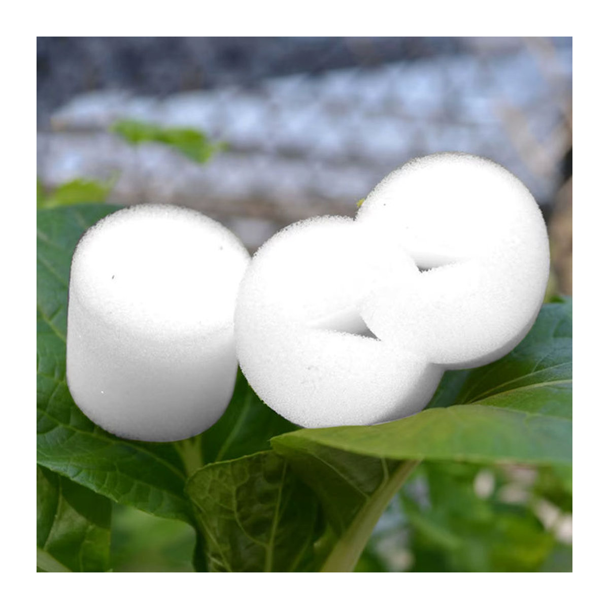 Vibratite Hydroponik Netztöpfe 50 Stück für soilless Kultur, Schlitzgitter-Körbe für Orchideen und Anzucht, B/D/H: 3,5 x 3,5 x 3,5 cm - Bild 5