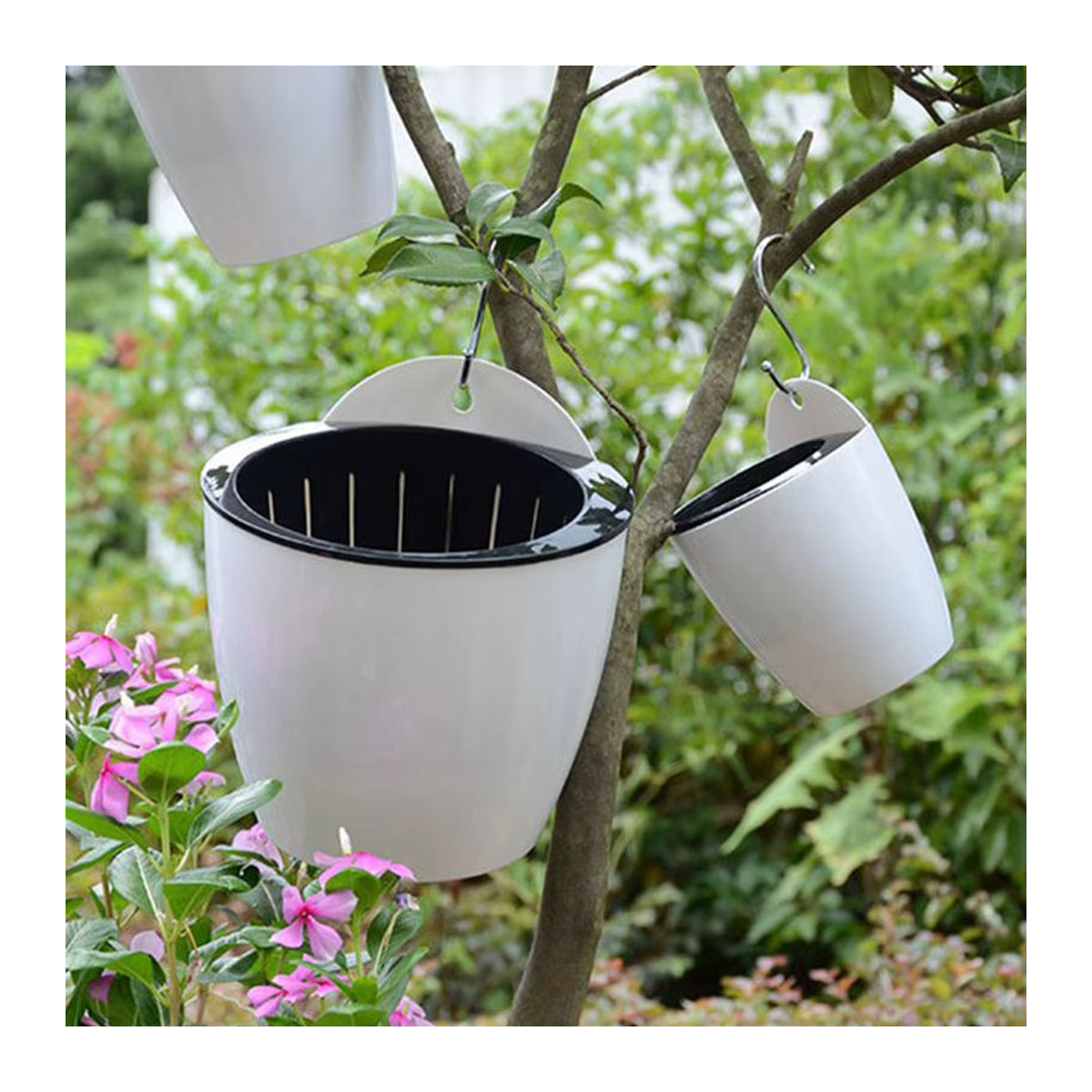 Vibratite Selbstbewässernder Blumentopf aus transparentem Kunststoff für Pflanzen und Hülsenfrüchte - Bild 6