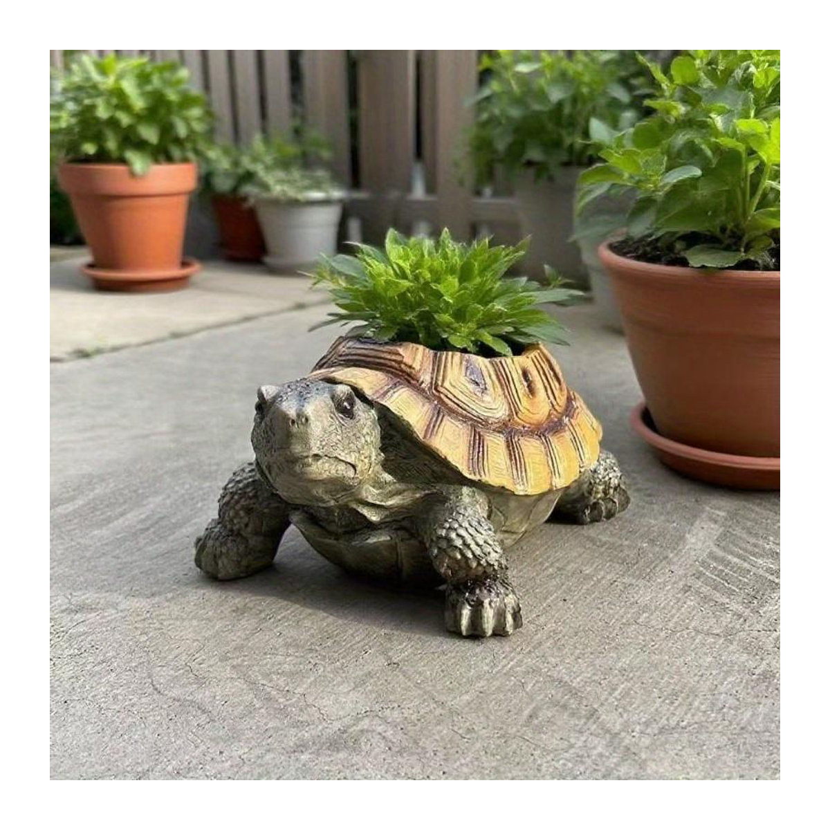 Vintage Schildkröten-Sukkulenten-Pflanztopf aus Kunstharz in Grün und Braun mit Drainageloch - Bild 3