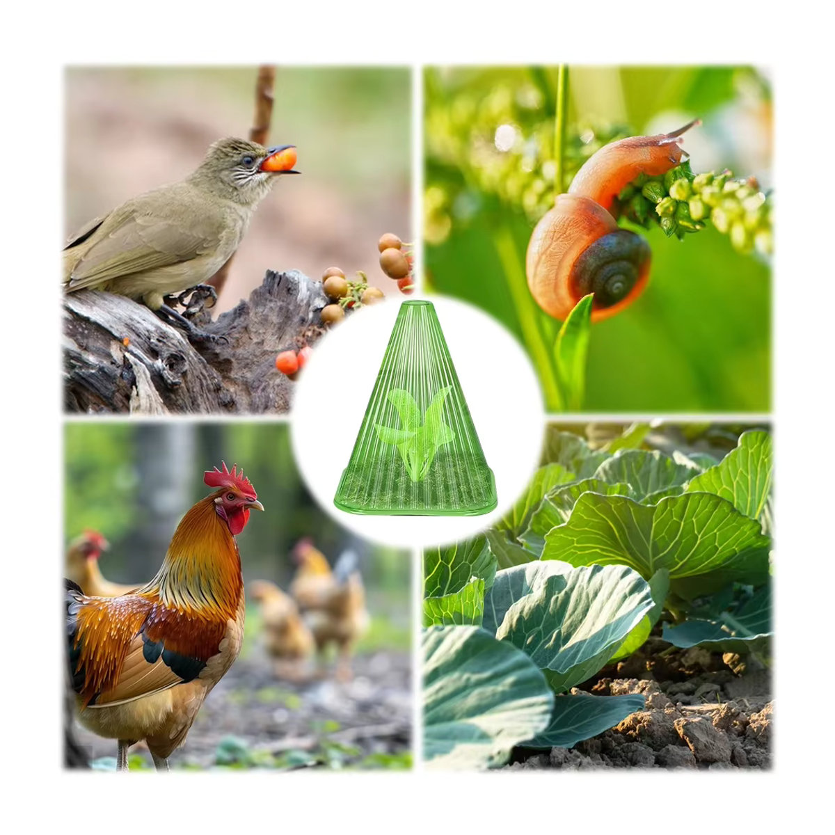 VKTECH Wiederverwendbare Pflanzenschutzhüllen zum Schutz vor Insekten und Frost, 5-31 Stück - Bild 4