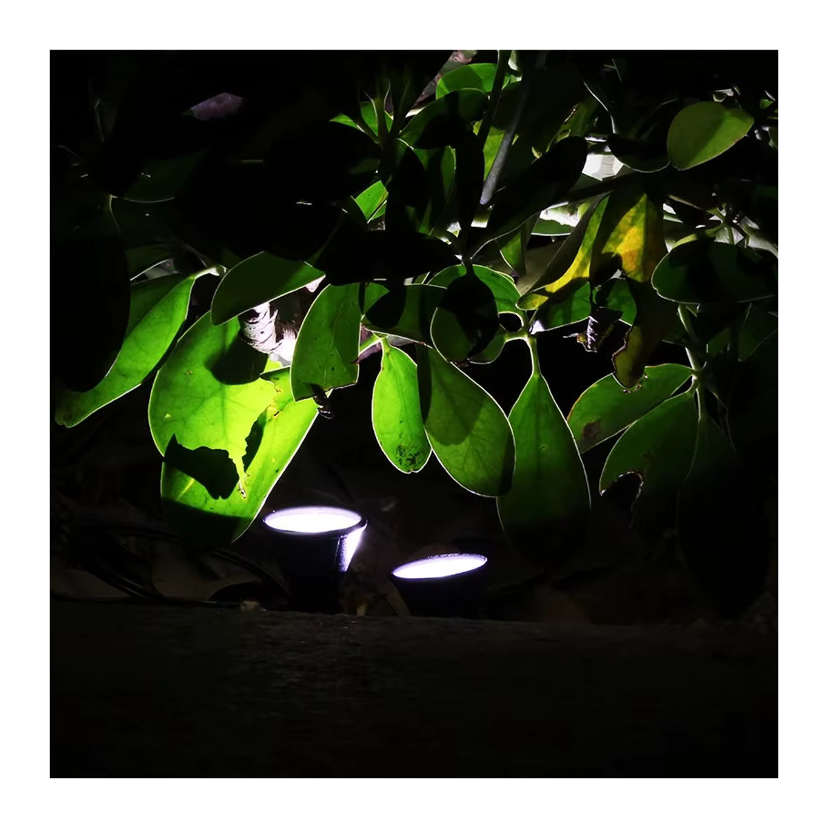 Wasserdichte Solarleuchten für den Außenbereich mit IP65 Schutz für Garten, Terrasse und Weg - Bild 3