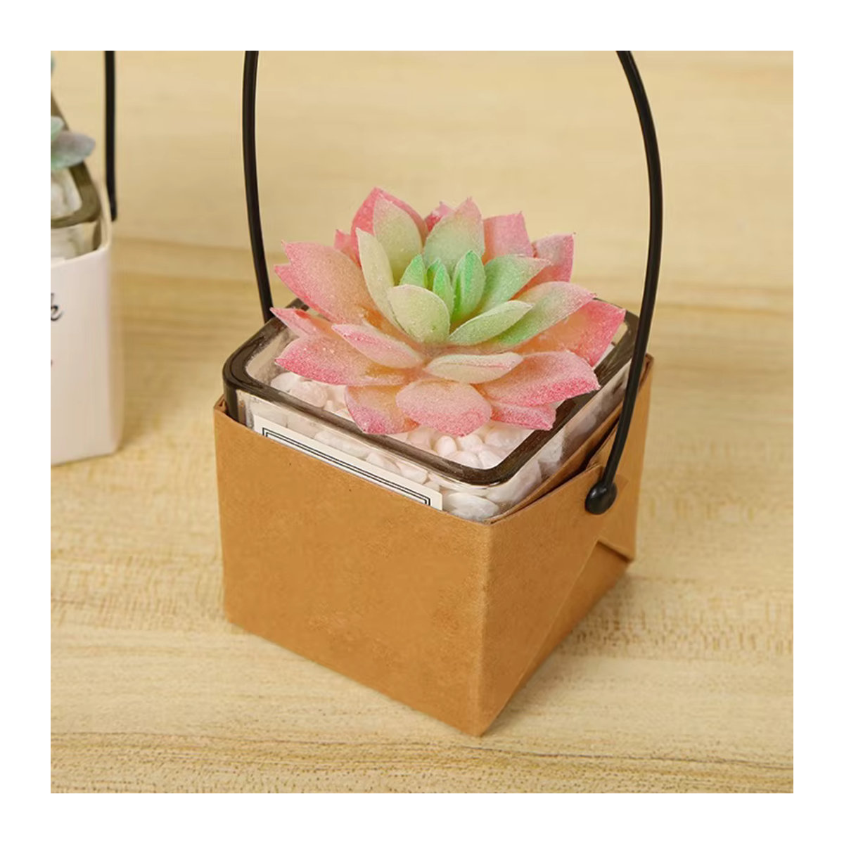 Wasserdichter Kraftpapier-Blumentopf mit Griff in Braun von ZYF für Sukkulenten und Kakteen - Bild 2