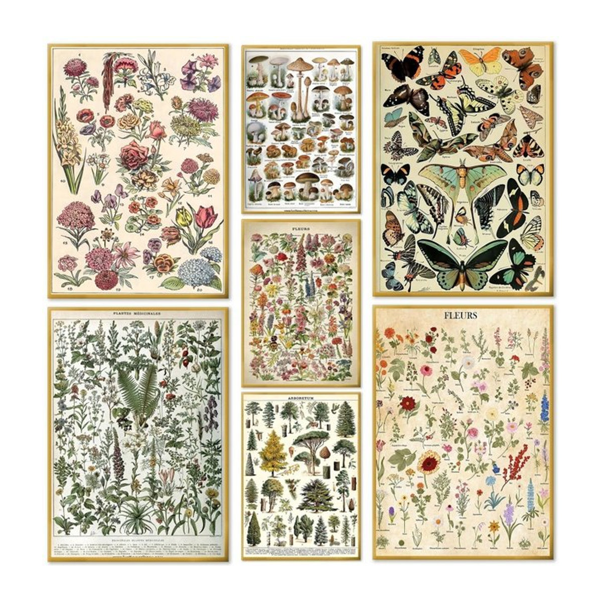 Wasserfeste selbstklebende Wanddekoration mit botanischen Pilz-Kunstdrucken im Vintage-Anime-Stil, Multicolor - Bild 1