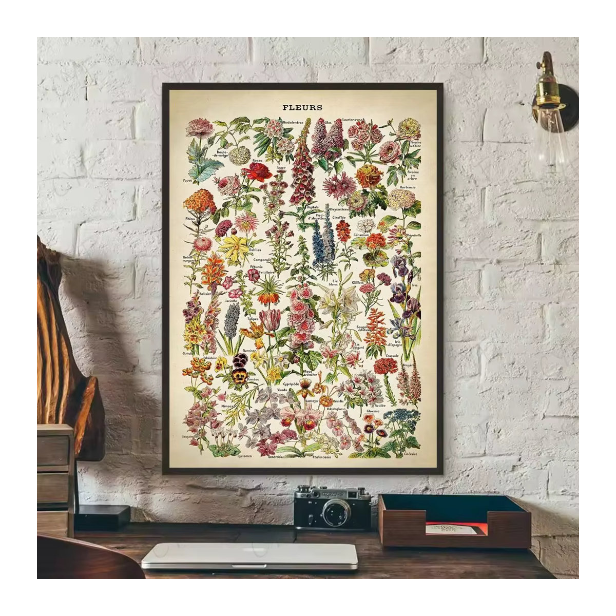 Wasserfeste selbstklebende Wanddekoration mit botanischen Pilz-Kunstdrucken im Vintage-Anime-Stil, Multicolor - Bild 3