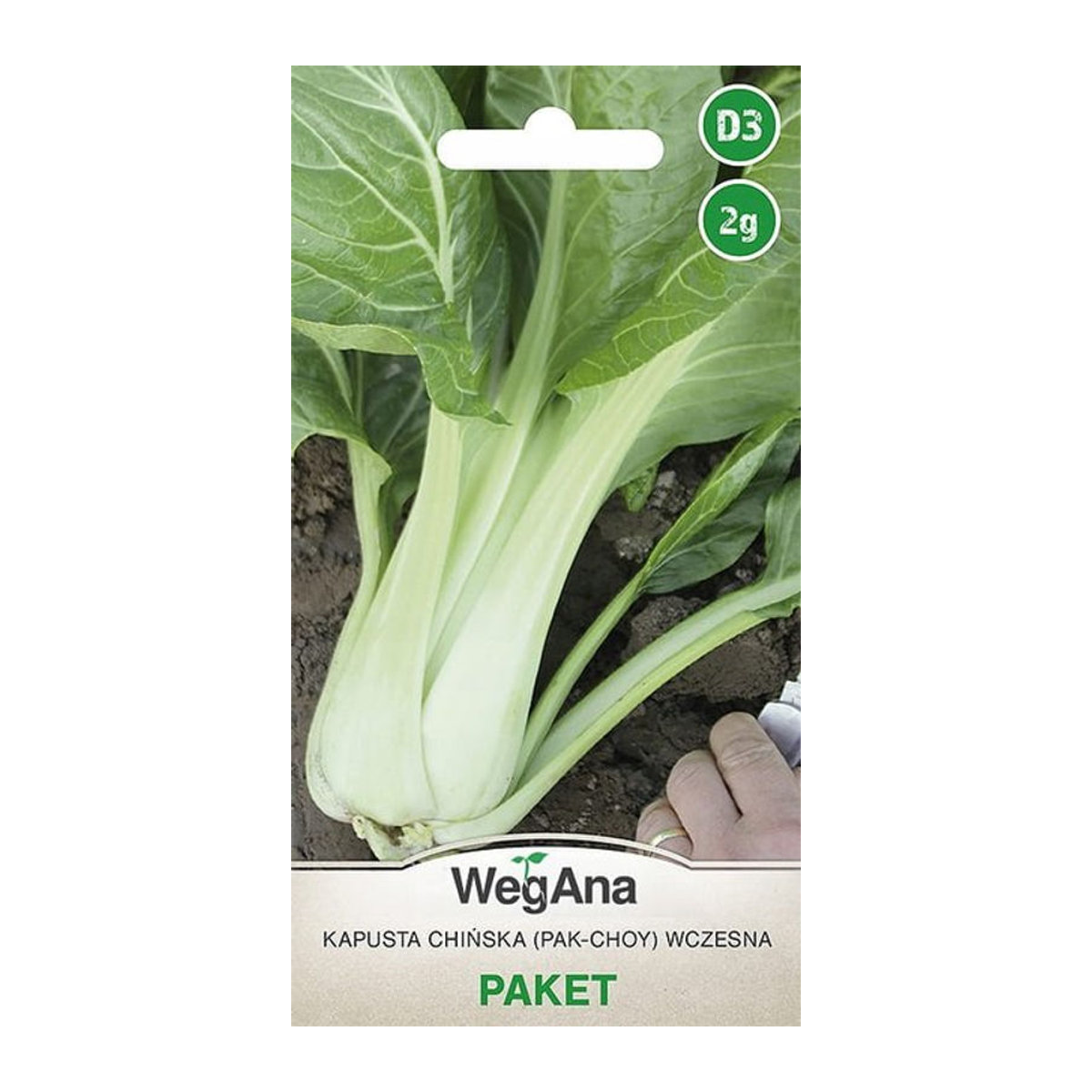 WegAna Chinakohl Pak Choy Kohlsamen 2g - Bild 1