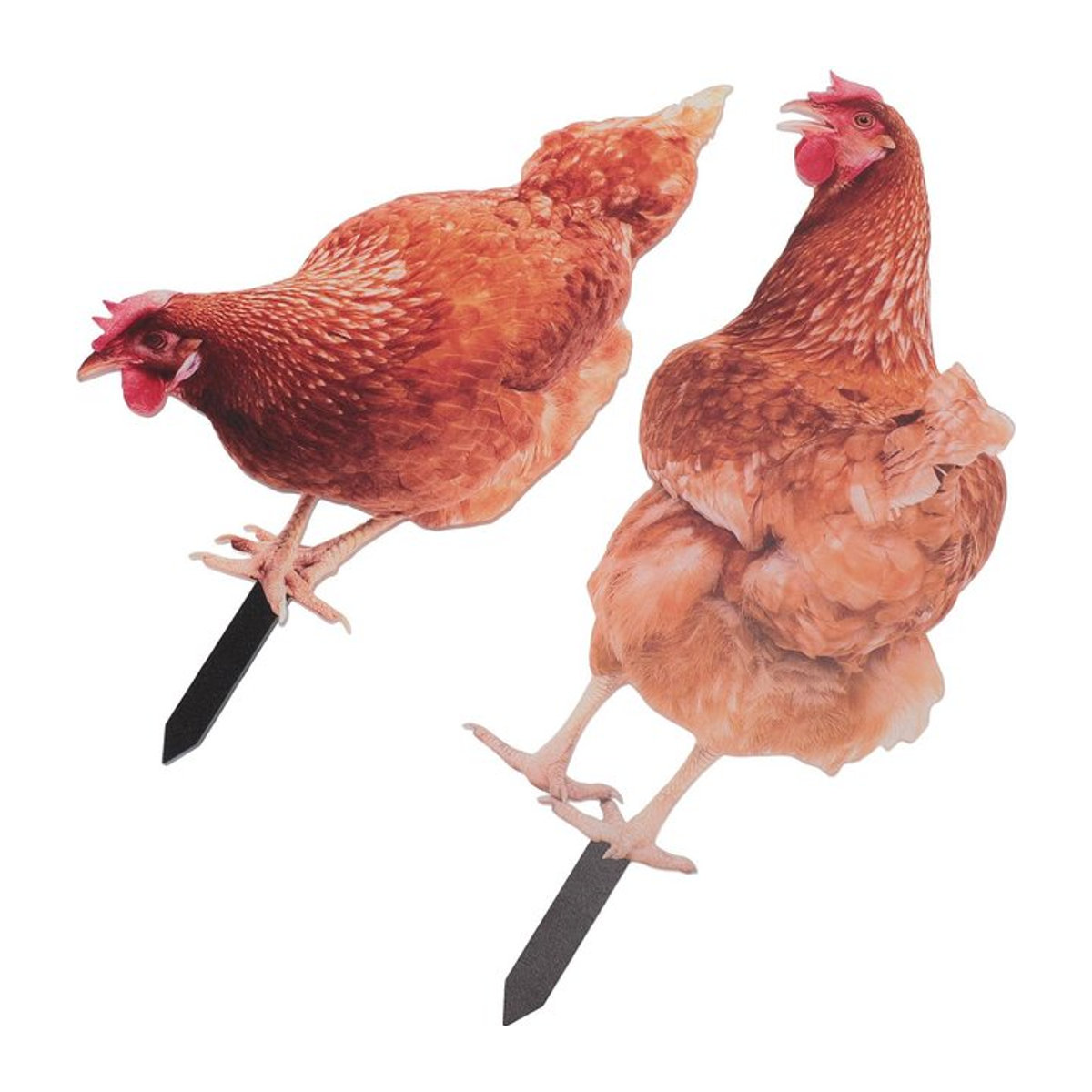 Wetterfester Gartenhühner-Spieß aus Acryl in Bunt als dekorative Tierfigur für deinen Außenrasen und Hof von mfySpace - Bild 1
