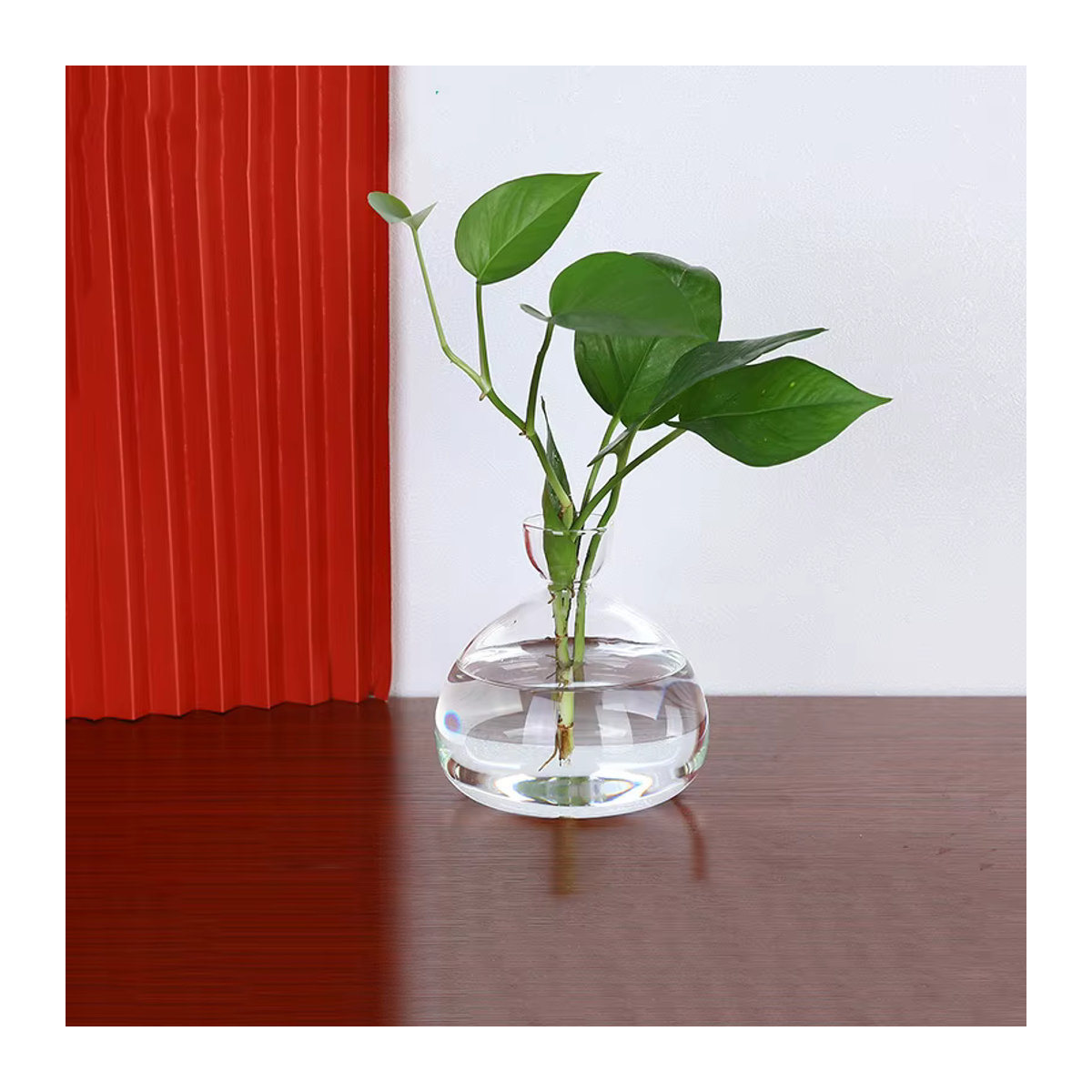 WHPHous Avocado-Samen-Startervase aus transparentem Glas für den Pflanzenanbau - Bild 4
