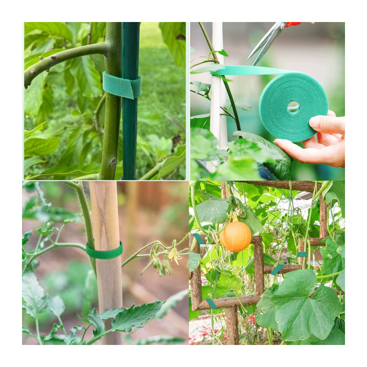 Wiederverwendbare Pflanzenbinder aus grünem Nylon-Bambus für Kletterpflanzen und Tomaten zur Gartenunterstützung - Bild 2
