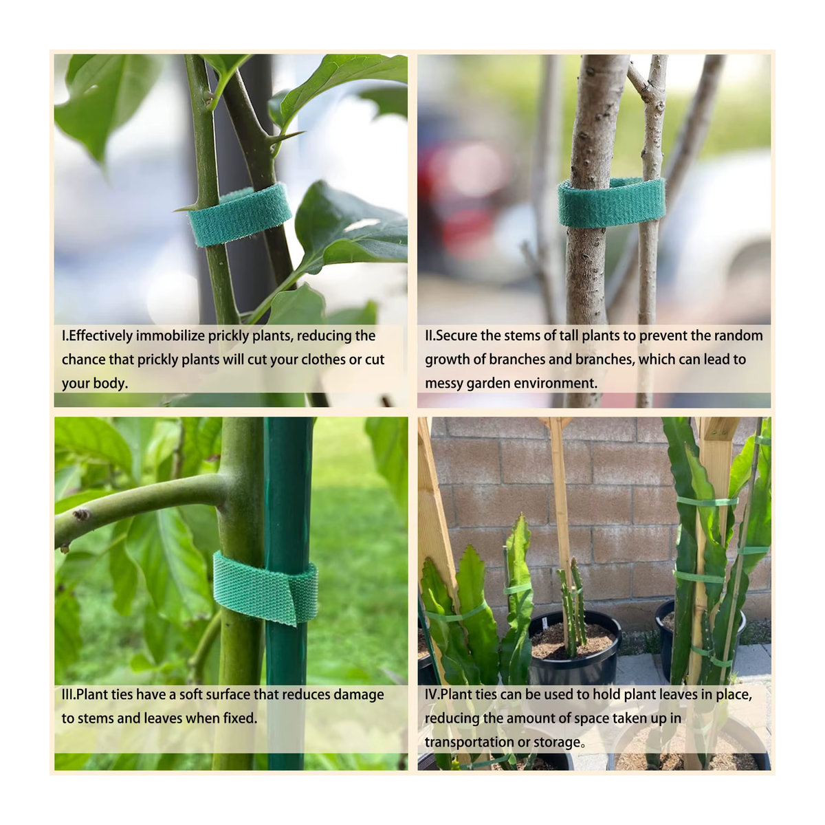 Wiederverwendbare Pflanzenbinder aus grünem Nylon-Bambus für Kletterpflanzen und Tomaten zur Gartenunterstützung - Bild 4