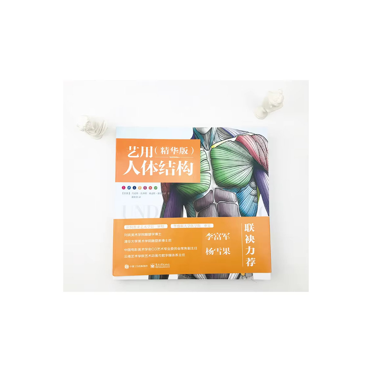 Winshare Human Body Structure Art Essence Version Buch in Multicolor - Bild 2