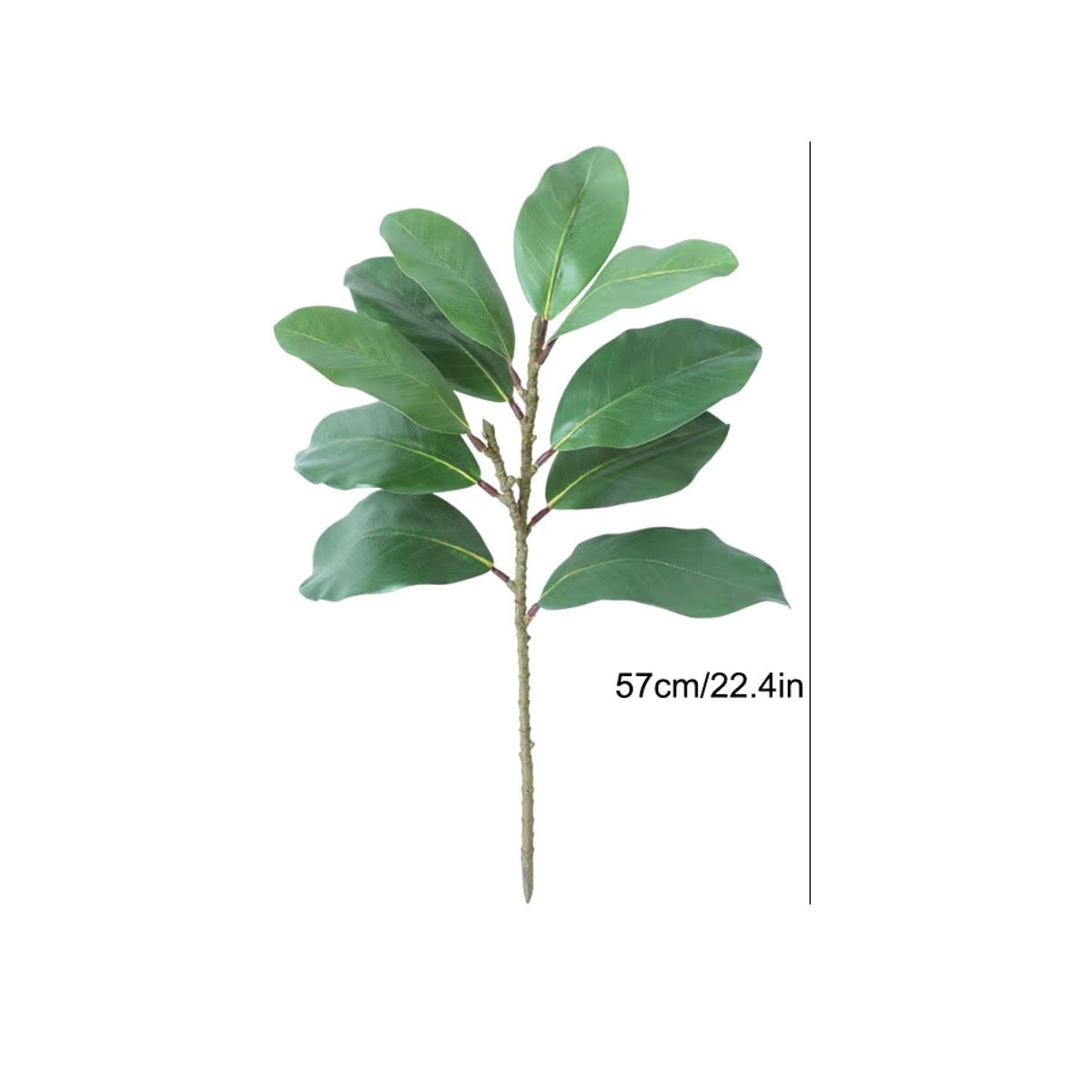 WQNJIN Künstliche Magnolienblätter in Grün und Braun als dekorative Pflanze für deine Innendekoration - Bild 2