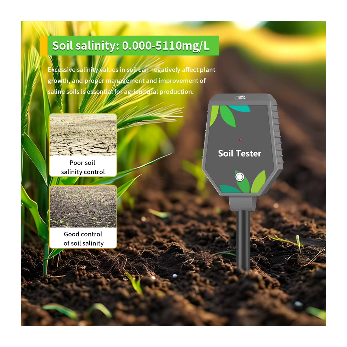 Yieryi 8-in-1 Smart Bodentester mit Bluetooth App zur Messung von pH-Wert, Salz, EC, Fruchtbarkeit, Temperatur und Bodenfeuchtigkeit für die Gartenpflanzung - Bild 2