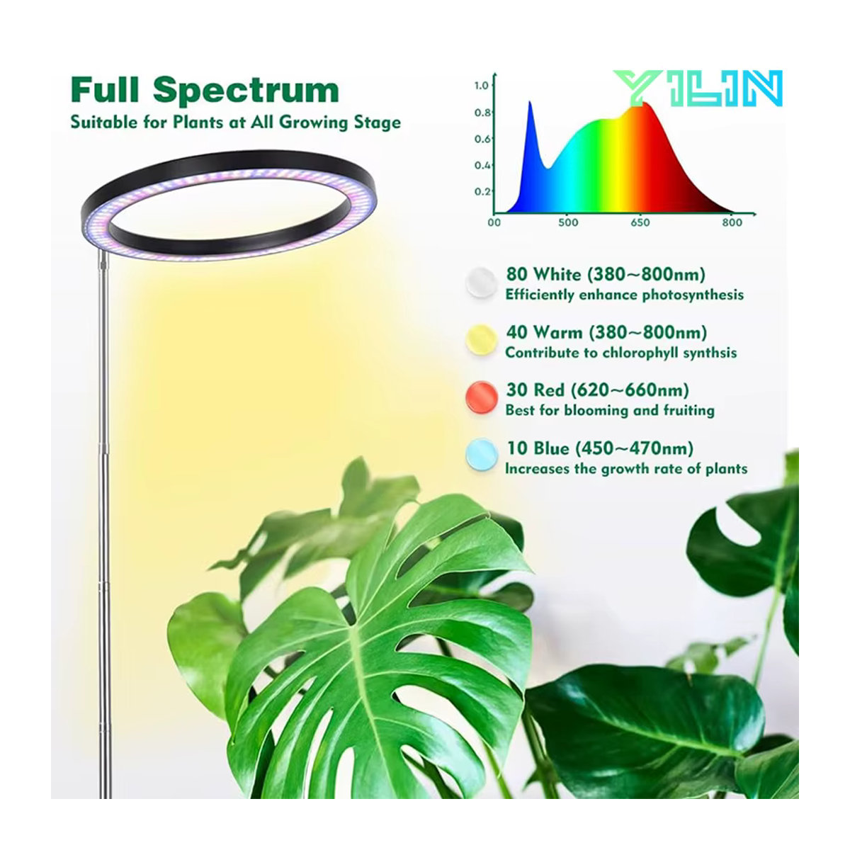YILIN LED-Pflanzenwachstumslicht Vollspektrum-Wachstumslampe mit Timer und höhenverstellbarem Standfuß, 16 cm - Bild 4