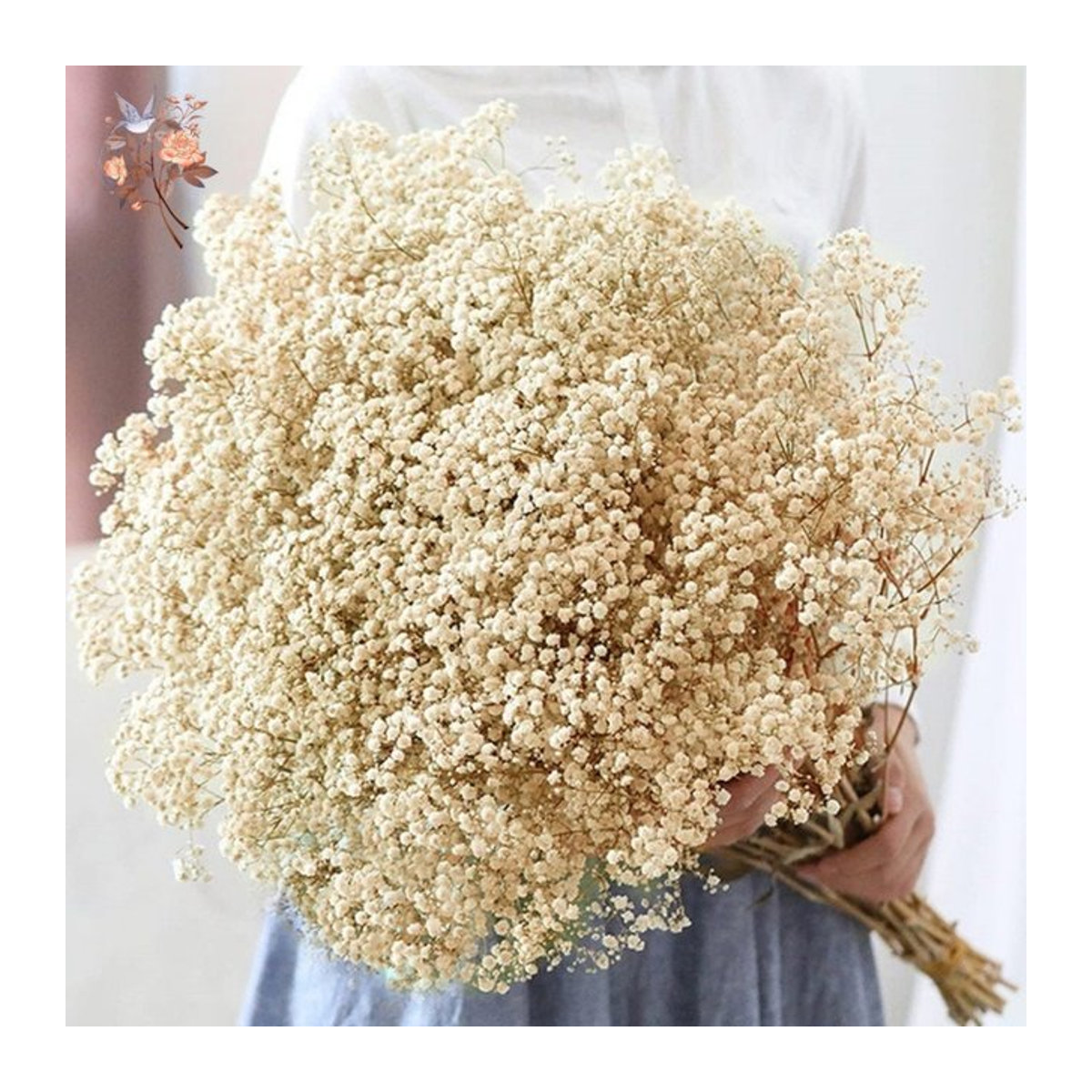 YN HI FLOWER getrockneter Gypsophila Blumenstrauß in Weiß und Beige, 60g - Bild 1