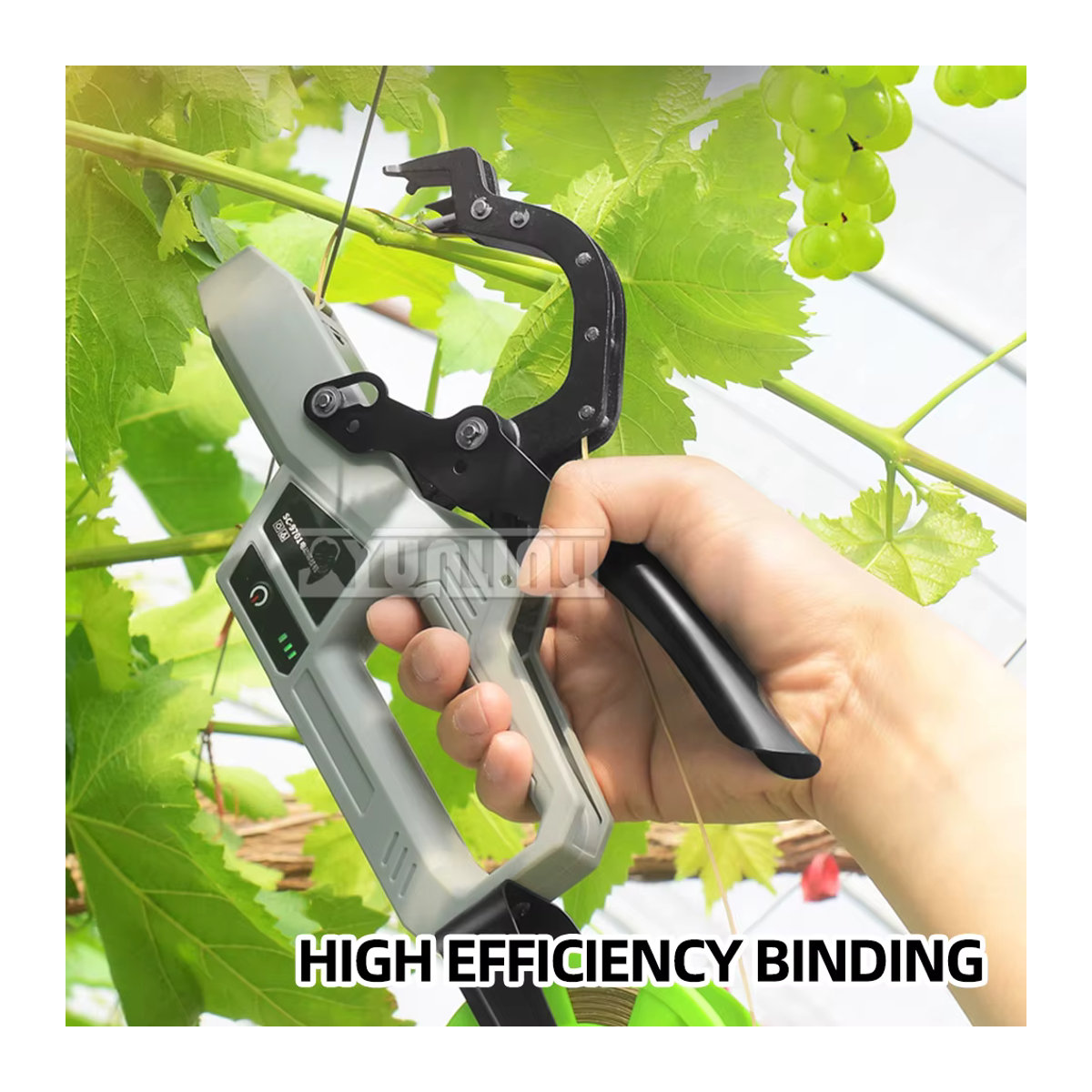 YunlinLi Pflanzenbindemaschine mit Strumpfband für Garten und Hausgarten zur Befestigung von Zweigen bei Kiwi, Tomate und Weinreben - Bild 5