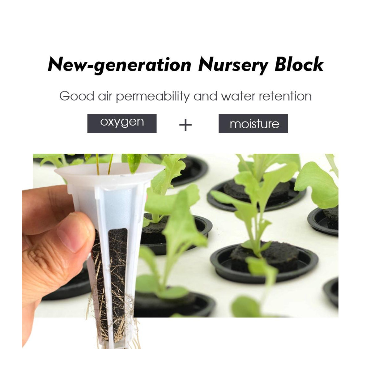 YWZT Home Depot Garten Hydroponik Anzuchtschwämme für Samenstarter und Pflanzen zur Bewurzelung, 5er Pack - Bild 5