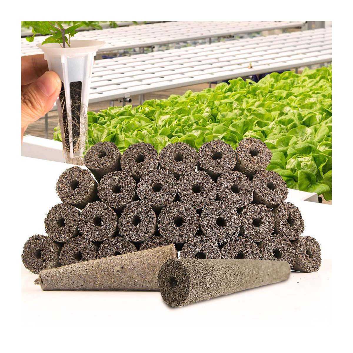 YWZT Home Depot Garten Hydroponik Anzuchtschwämme für Samenstarter und Pflanzen zur Bewurzelung, 5er Pack - Bild 9
