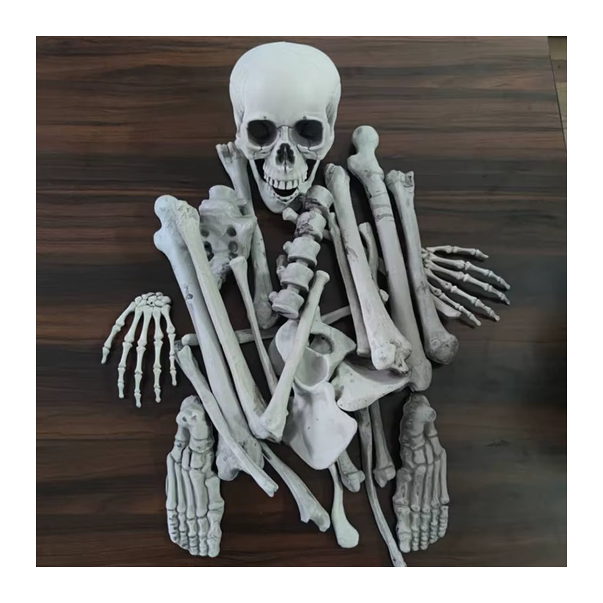 ZJMZYM Halloween Skelett Set 28-teilig in Weiß aus Kunststoff für die Außen- und Hofdekoration - Bild 5