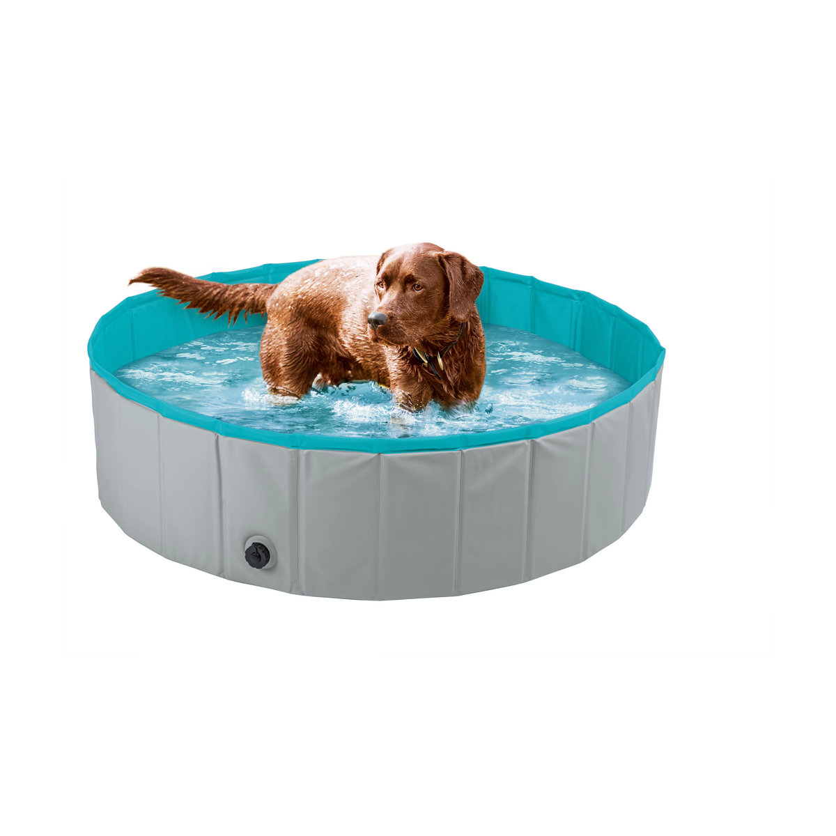 ZOOFARI Hundepool - Bild 2